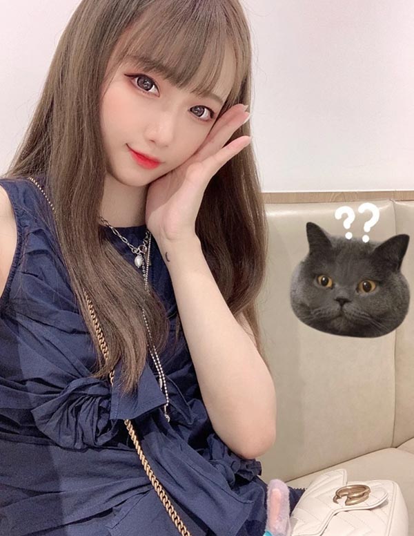 多伦多模特预约平台