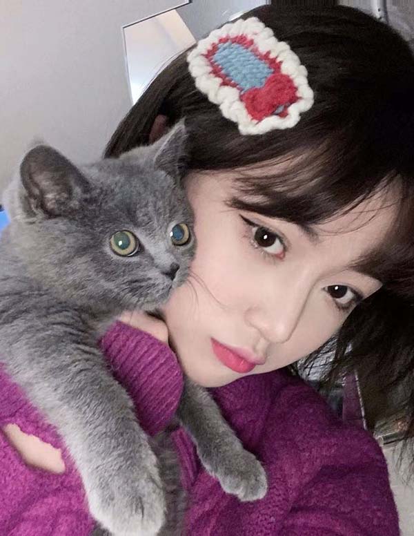 巴黎围经纪人微信